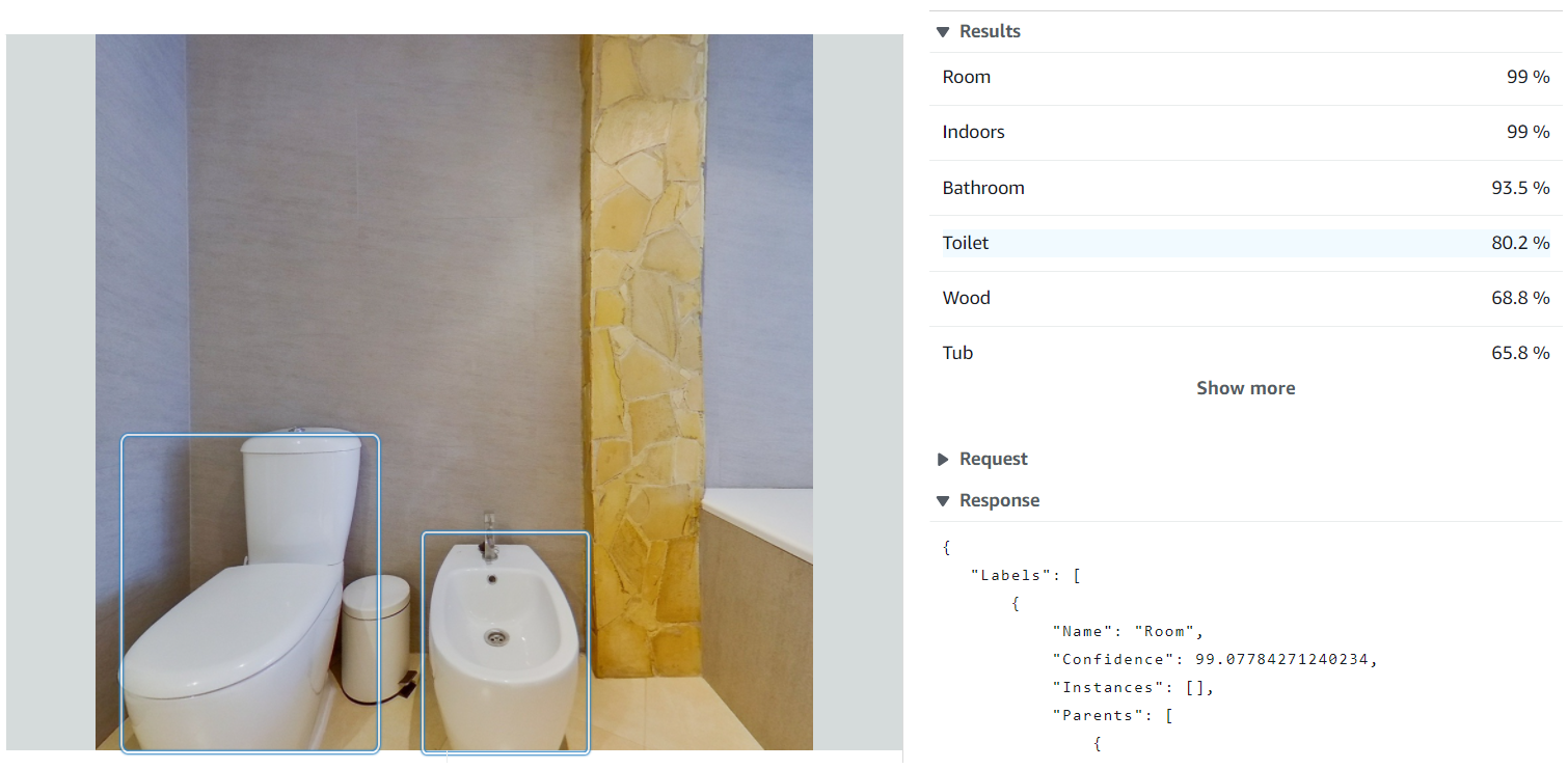 Object and scene detection